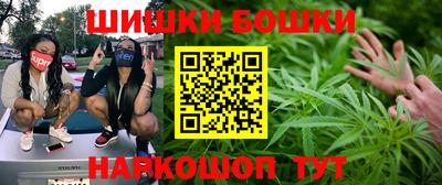 стаф Моздок
